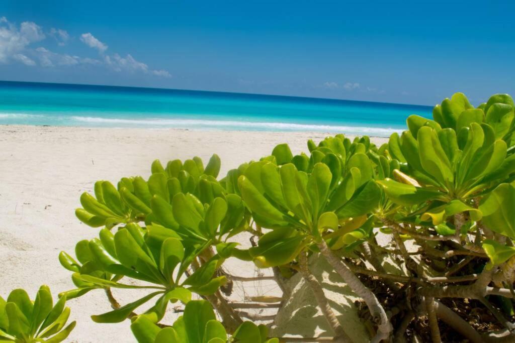 Villas Marlin 108, A Pie De Playa, Albercas, Jacuzi, Ubicacion Inmejorable 坎昆 外观 照片